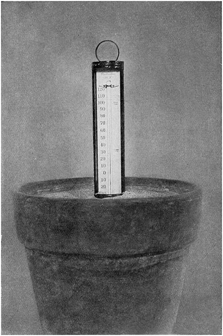 Fig. 31.