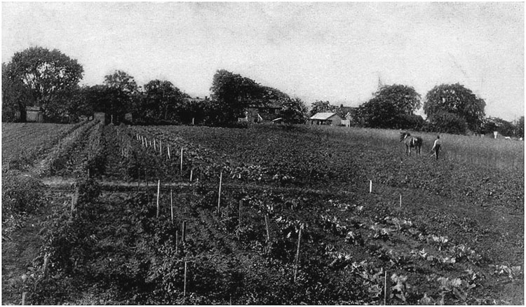 THE FARM EQUIPMENT