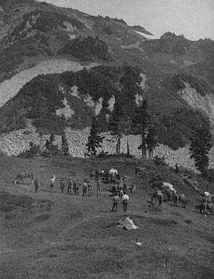 Watching the pack-train coming down at Cascade Pass