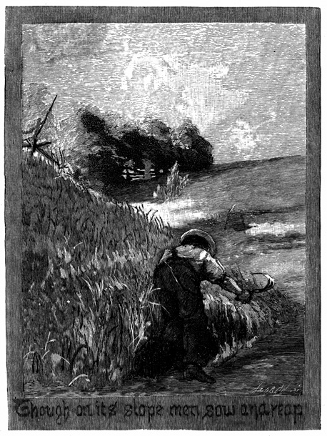 A man reaps wheat.