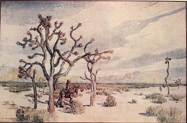 Joshua Trees (Mary and Bepo)