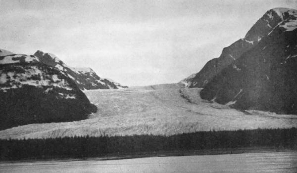 DAVIDSON GLACIER