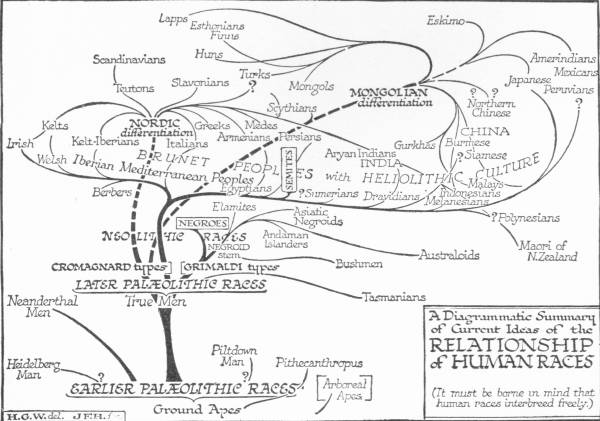 A Diagrammatic Summary of Current Ideas of the Relationship of
 Human Races