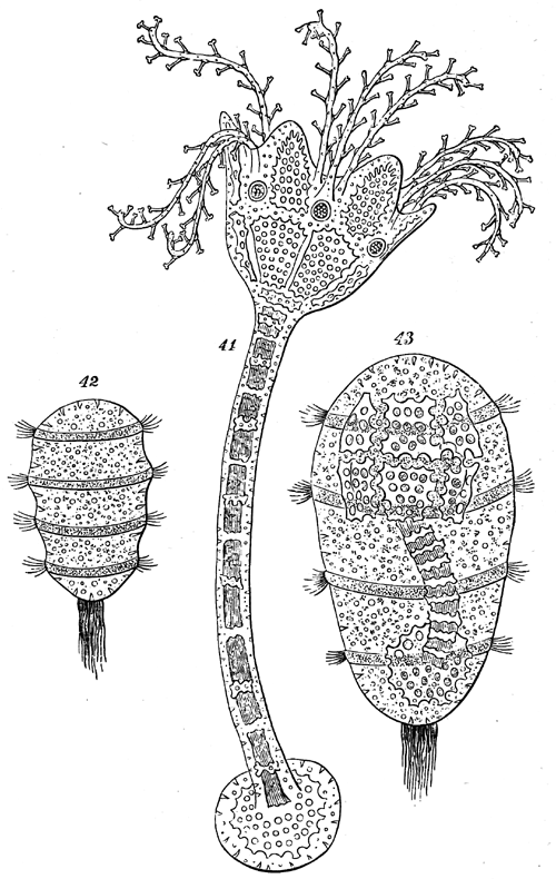 Figs. 42-44