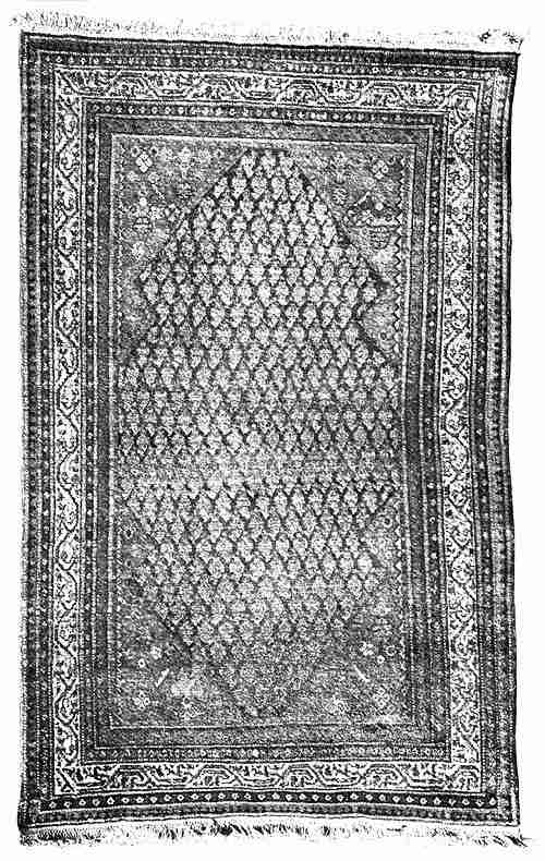 Plate 10. Sarabend Rug