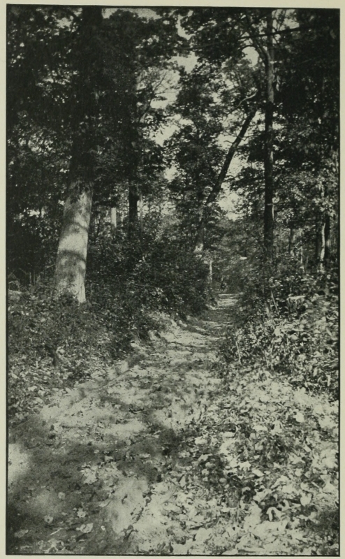 Modern Road on Laurel Hill