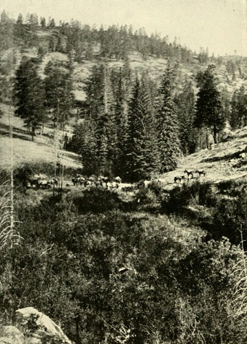 Character of the
Mountains and High Plateau Regions of the Basin of the Colorado.