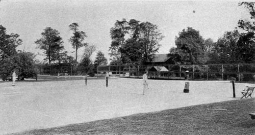 Large tree behind tennis court