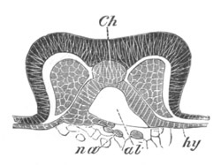 Illustration: Figure 26