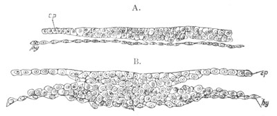 Illustration: Figure 139