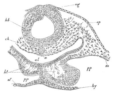 Illustration: Figure 357