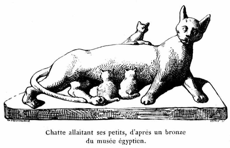 Chatte allaitant ses petits, d'après un bronze
du musée égyptien.