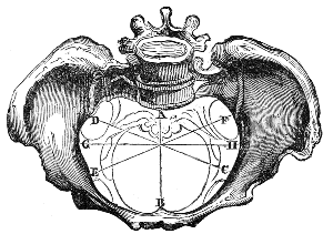 Diameters
of the Upper Strait