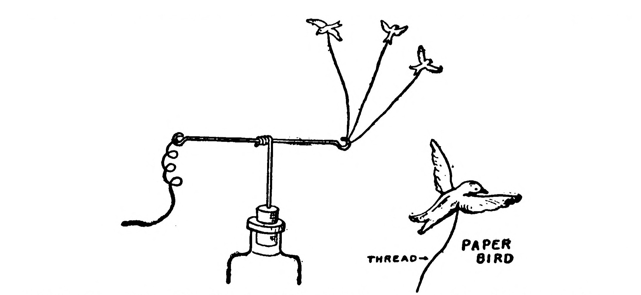 FIG. 22.—Electric Birds.