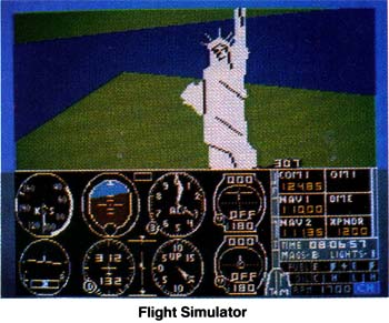 Flight Simulator