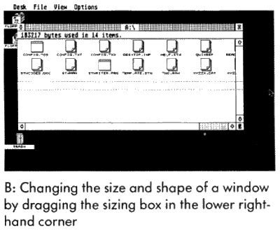 Changing size and shape