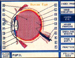 anatomy1.jpg