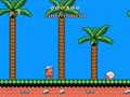 Hudson’s Adventure Island II