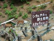 輪行写真