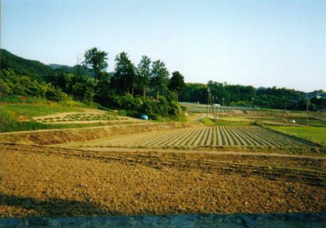輪行写真