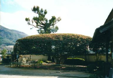 輪行写真