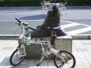 輪行写真
