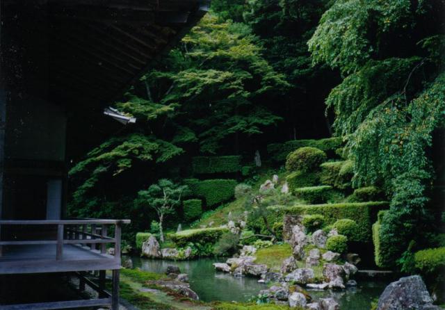 庭園写真
