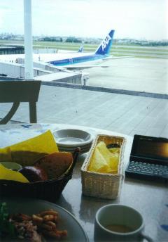 屋久島写真